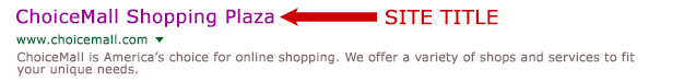 Title tag on the search engine results page.